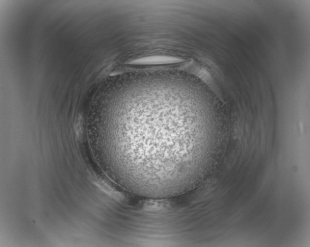 X0000078280077200611172107