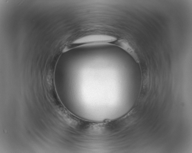 X0000078280078200611172107