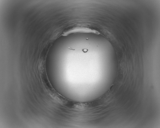 X0000078280079200611172107