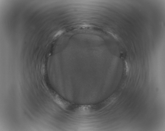 X0000078280080200611172107