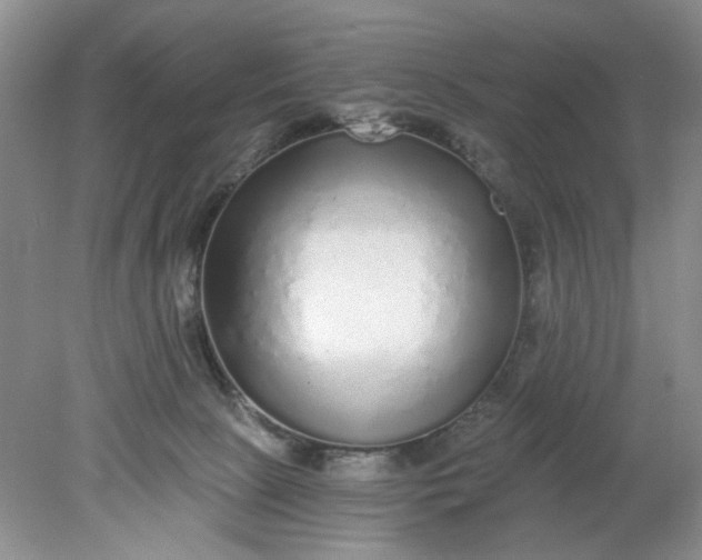 X0000078280081200611172107