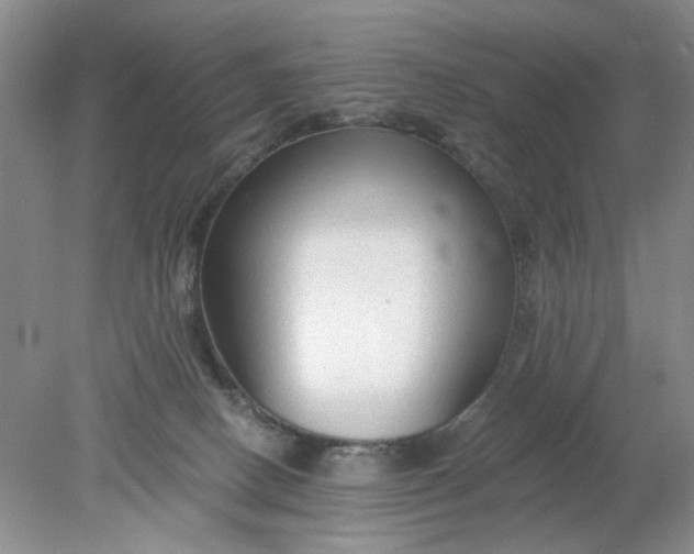 X0000078280082200611172107