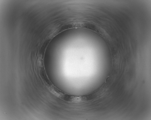 X0000078280083200611172107