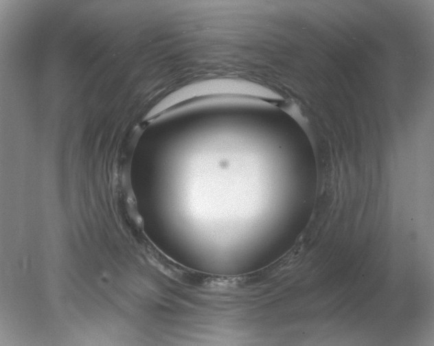 X0000078280084200611172107