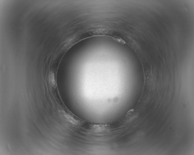 X0000078280089200611172107