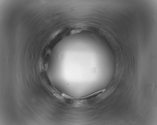 X0000078280096200611172108