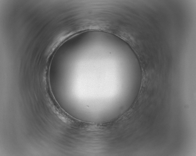 X0000078280098200611172107