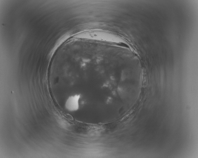 X0000078280099200611172107