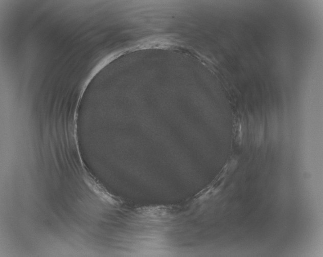 X0000078280100200611172107