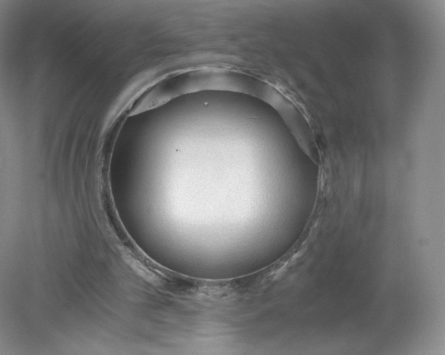 X0000078280101200611172107