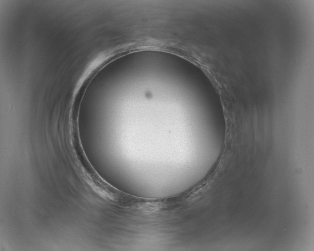 X0000078280102200611172107