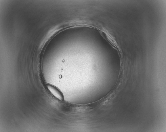 X0000078280103200611172107