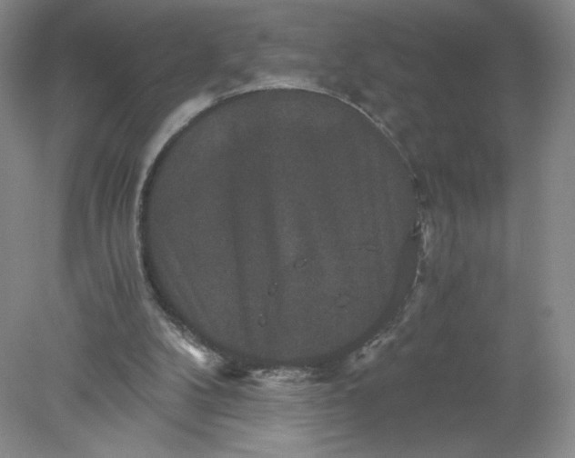 X0000078280104200611172107