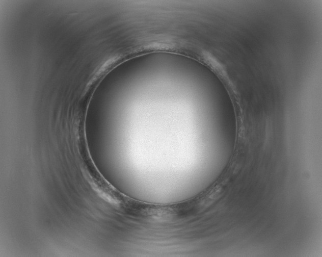 X0000078280106200611172107