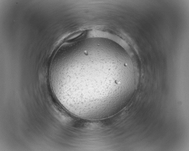 X0000078280107200611172107