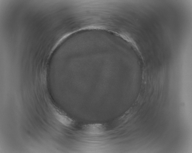 X0000078280108200611172107