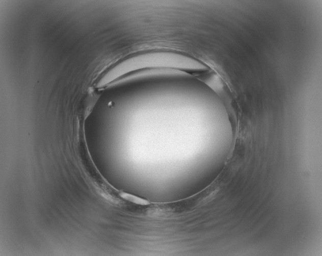 X0000078280109200611172106