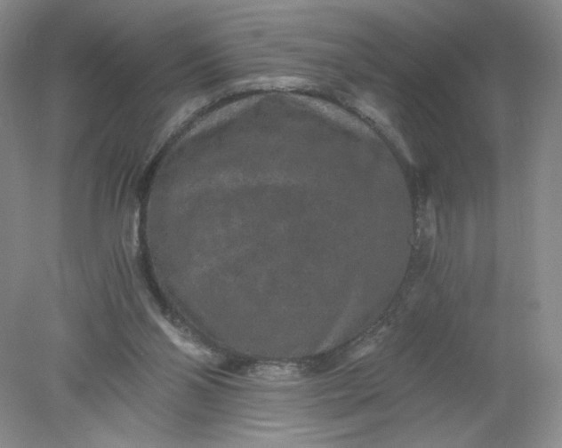 X0000078280110200611172106