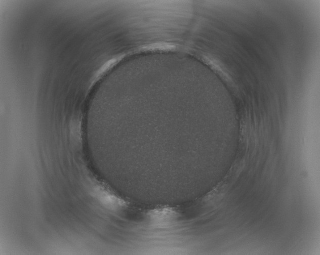 X0000078280112200611172106