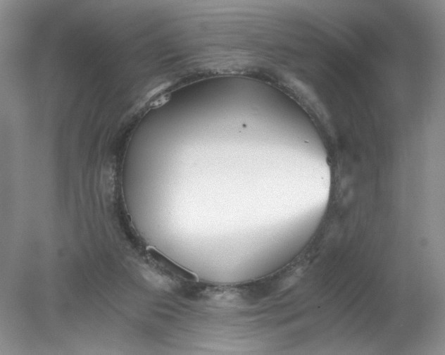 X0000078280113200611172106