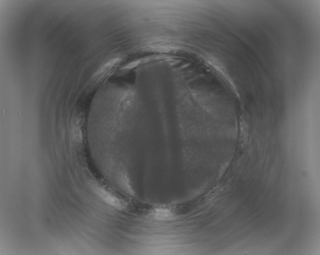 X0000078280114200611172106