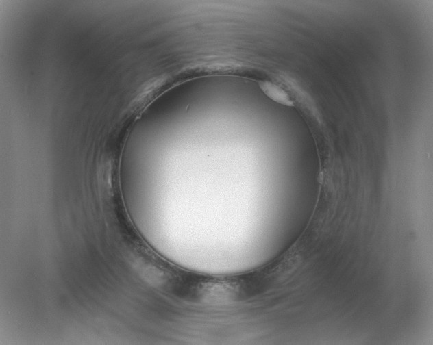 X0000078280115200611172106