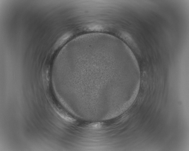 X0000078280116200611172106