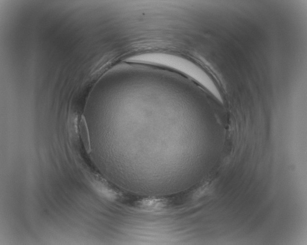 X0000078280117200611172106