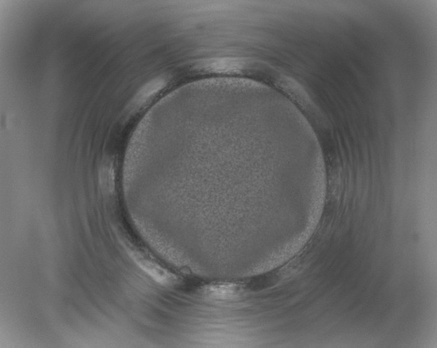 X0000078280120200611172106