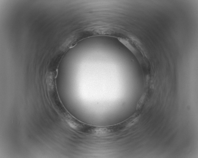 X0000078280121200611172106