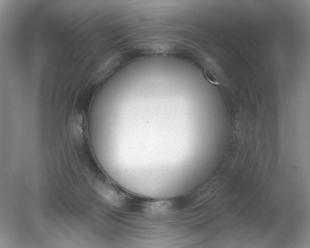 X0000078280122200611172106