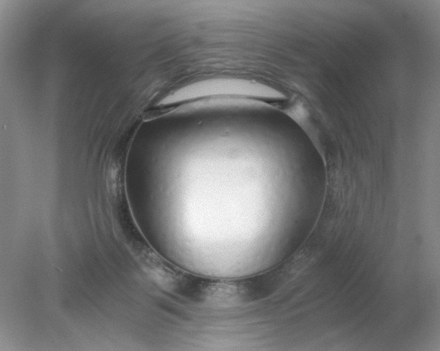 X0000078280123200611172106