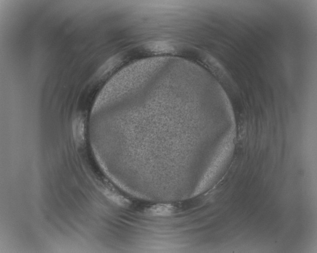 X0000078280124200611172106