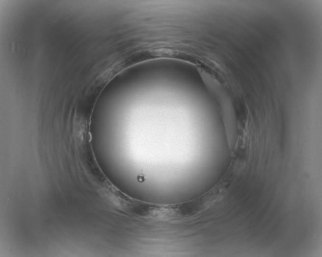 X0000078280125200611172106