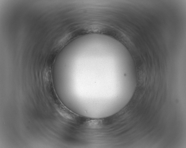 X0000078280126200611172106