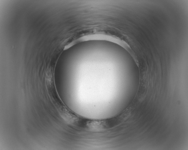 X0000078280129200611172106