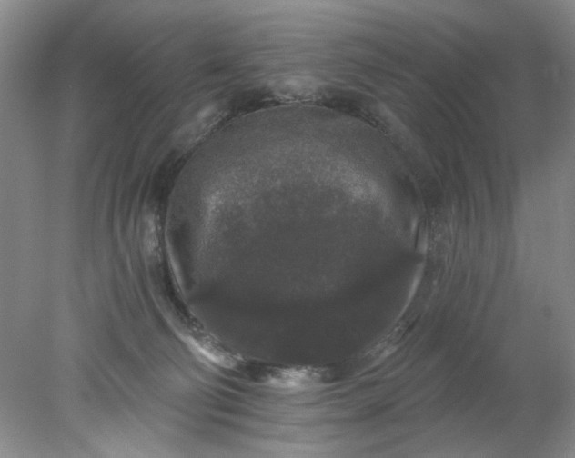 X0000078280130200611172106