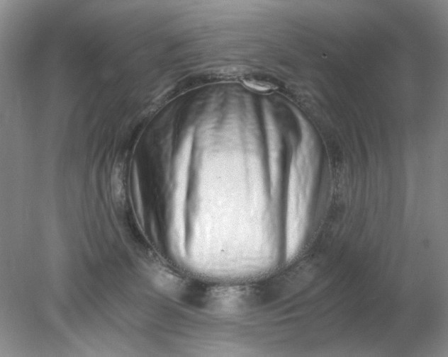 X0000078280131200611172106