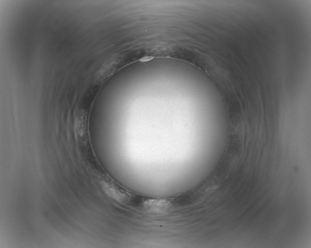 X0000078280133200611172106