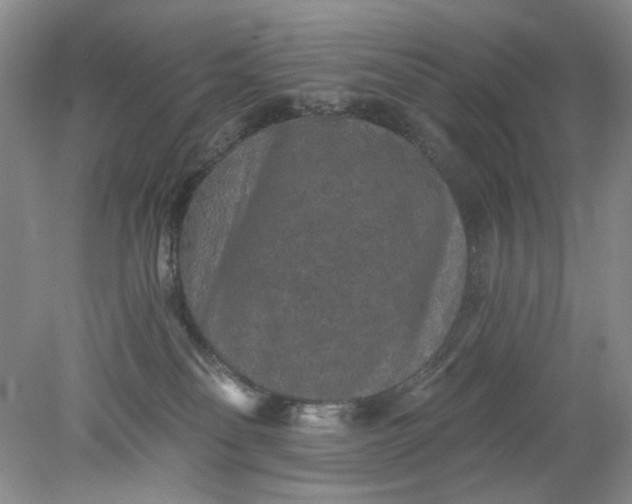 X0000078280134200611172106