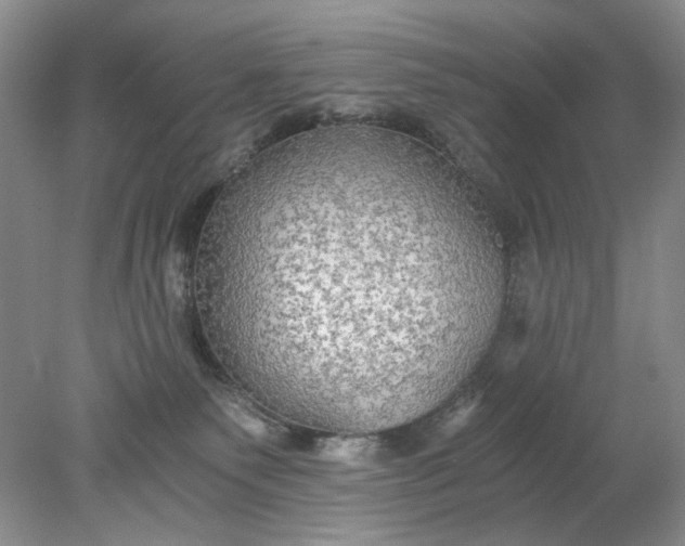 X0000078280135200611172106