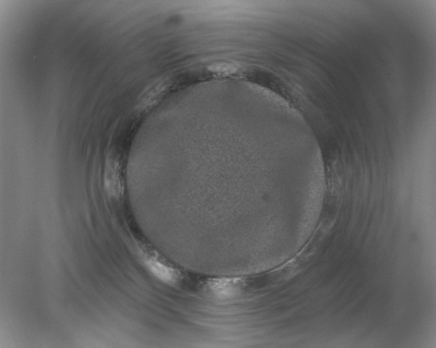 X0000078280136200611172106