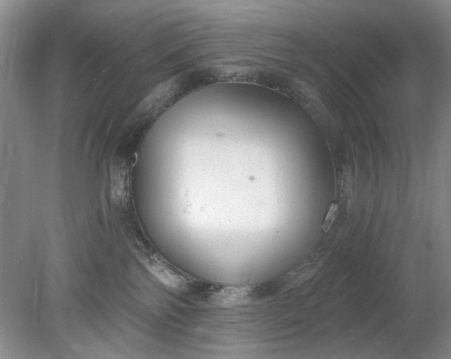 X0000078280138200611172106