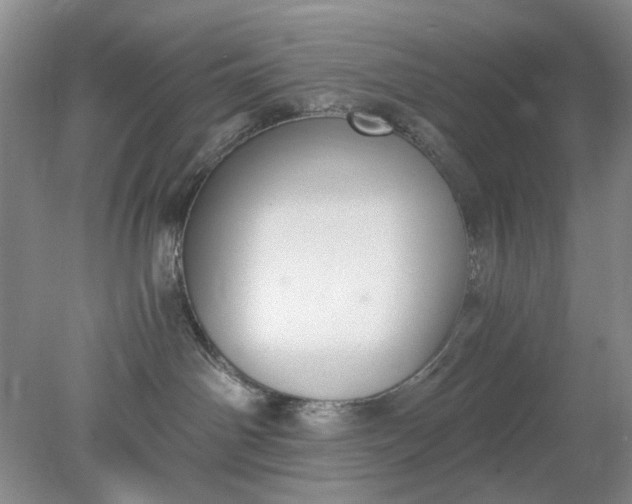 X0000078280142200611172106