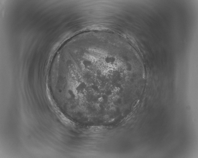 X0000078280145200611172105