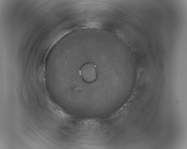 X0000078280146200611172105