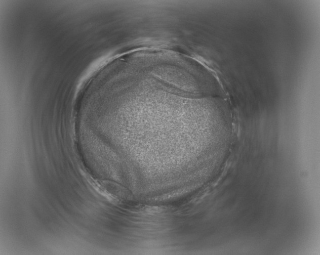 X0000078280149200611172105