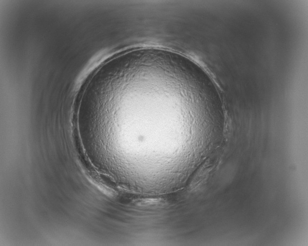 X0000078280151200611172105