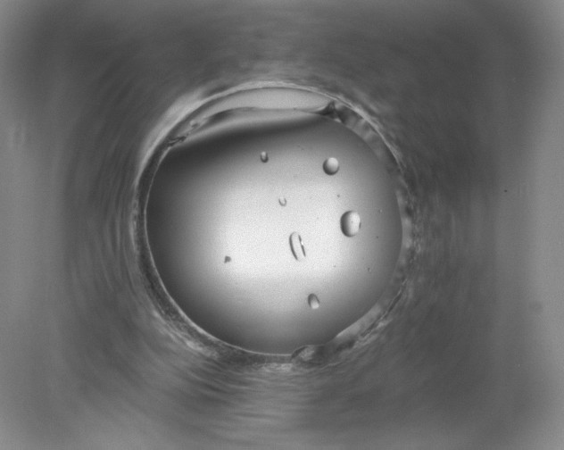 X0000078280152200611172105