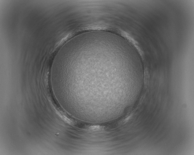 X0000078280153200611172105